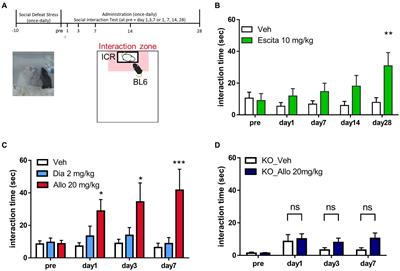 Distinct mechanisms of allopregnanolone and diazepam underlie neuronal oscillations and differential antidepressant effect